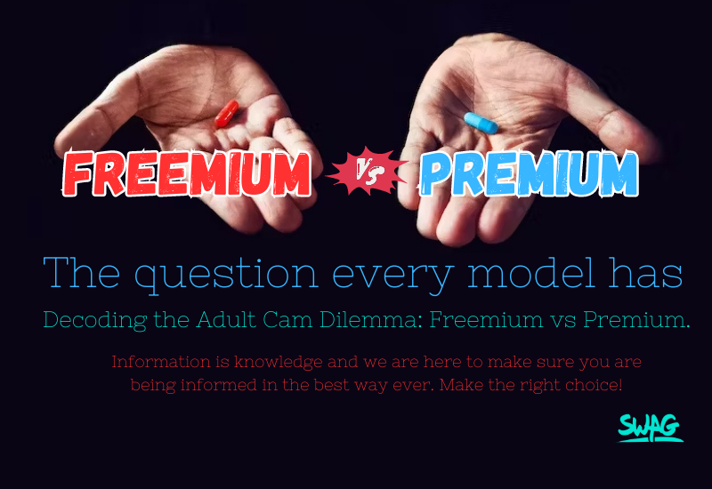 Great Information you need – Freemium VS Premium